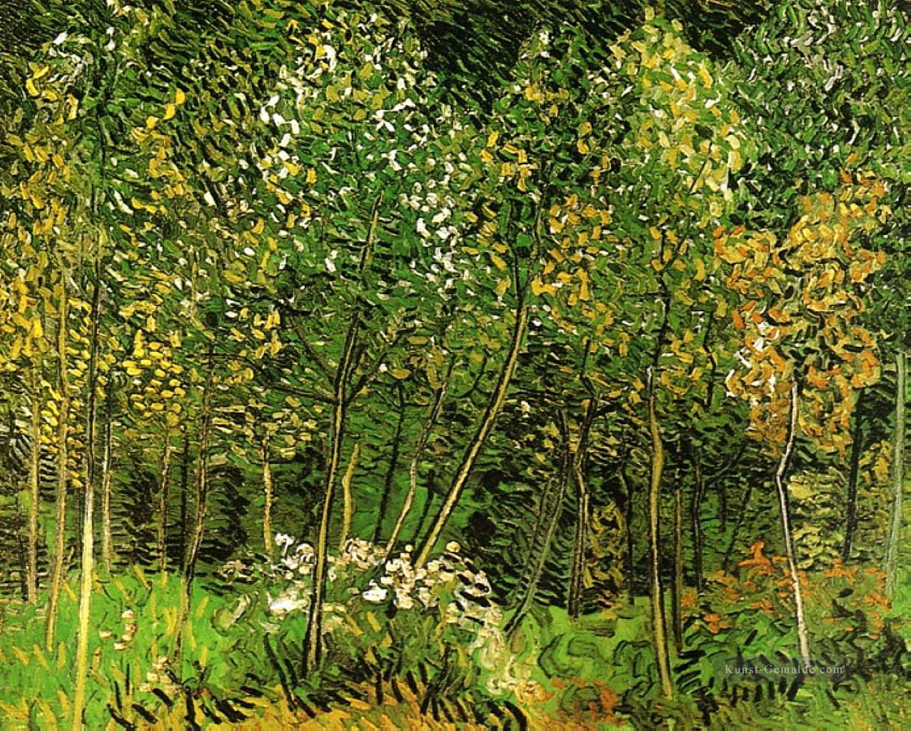The Grove Vincent van Gogh Ölgemälde